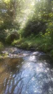 IMG_20150910_100201780