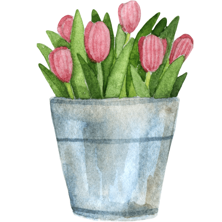 A Tip on Dealing with Sluggish Digestion and A Word on Body&nbsp;Type